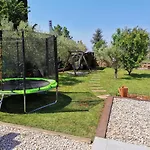 Molo فيلة *